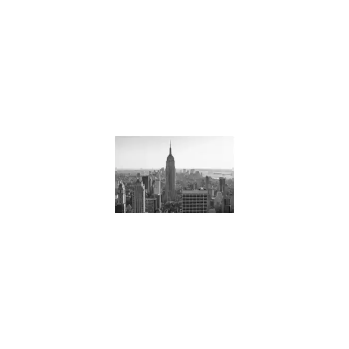 Fotomural New York City FLF008, 150cm. x 100.5cm., Vinilo Autoadhesivo Mate, Blanco y Negro, Original, 0x0x0x0 cm.