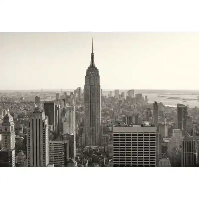 Fotomural New York City FLF008, 150cm. x 100cm., Vinilo Autoadhesivo Mate, Todo Color, Original, 0x0x0x0 cm.