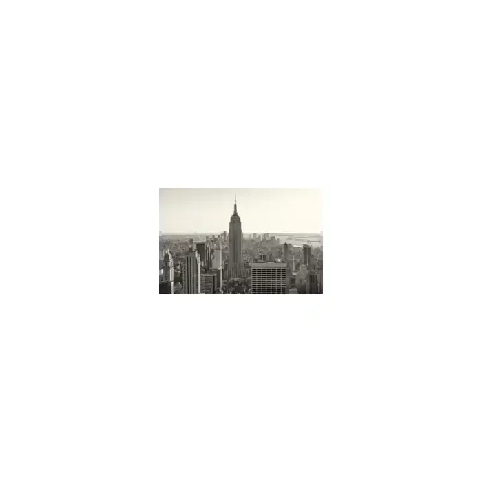 Fotomural New York City FLF008, 150cm. x 100cm., Vinilo Autoadhesivo Mate, Todo Color, Original, 0x0x0x0 cm.