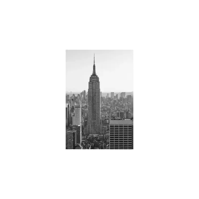 Fotomural New York City FLF008, 165cm. x 255cm., Vinilo Autoadhesivo Mate, Blanco y Negro, Original, 46.91x0x46.91×0 cm.