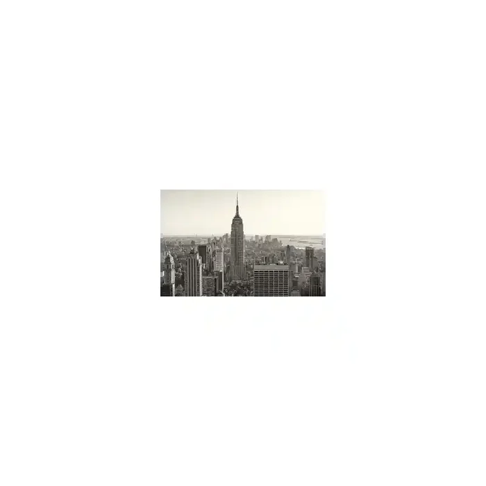 Fotomural New York City FLF008, 225cm. x 265cm., Vinilo Autoadhesivo Mate, Todo Color, Original, 0x0x0x0 cm.