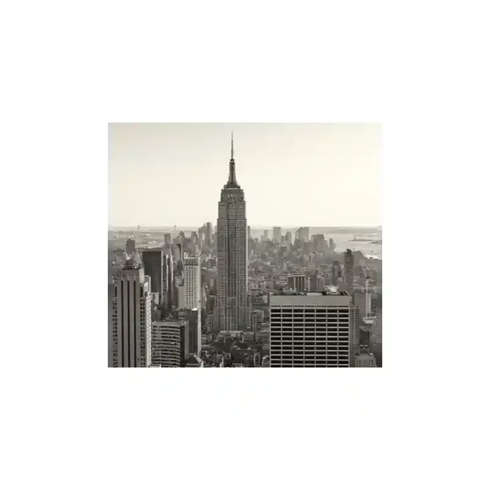 Fotomural New York City FLF008, 250cm. x 230cm., Vinilo Autoadhesivo Mate, Todo Color, Original, 34.42x0x34.42×0 cm.