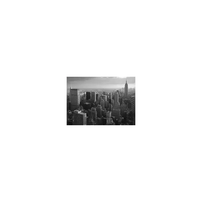Fotomural NEW YORK NY16, 350cm. x 200cm., Papel Pintado, Todo Color, Original, 0x0x0x0 cm.