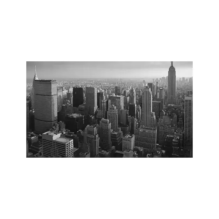 Fotomural NEW YORK NY16, 429cm. x 245cm., Papel Pintado, Todo Color, Original, 0x33.01x0x33.01 cm.