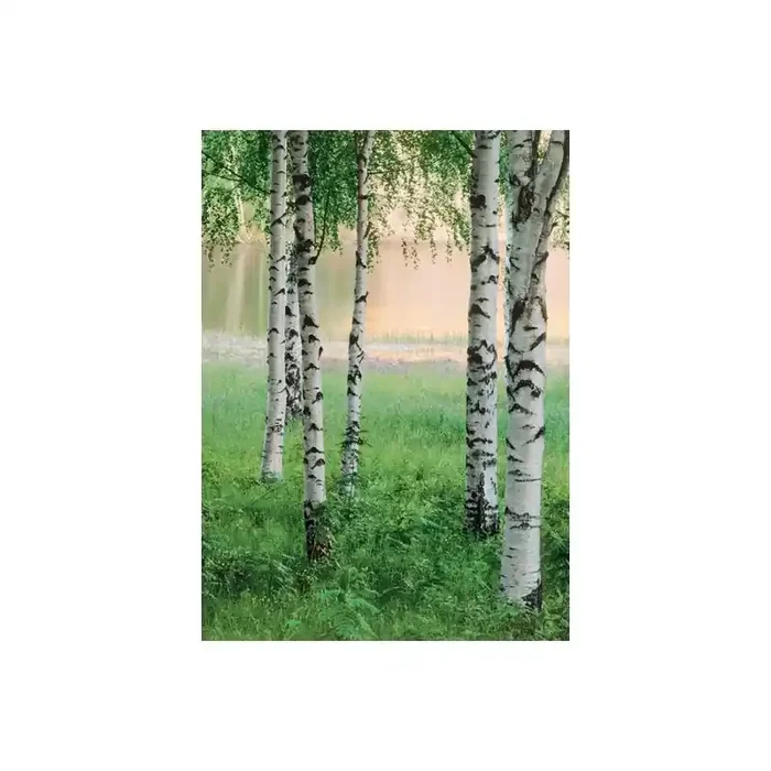 Fotomural NORDIC FOREST