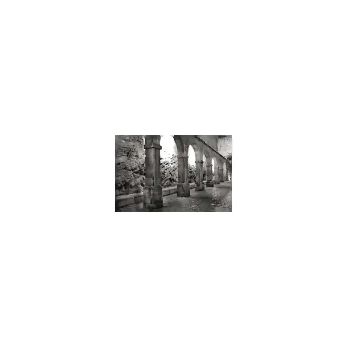 Fotomural ONE DUE 1033, 315cm. x 250cm., Papel Pintado, Todo Color, Original, 0x0x0x0 cm.