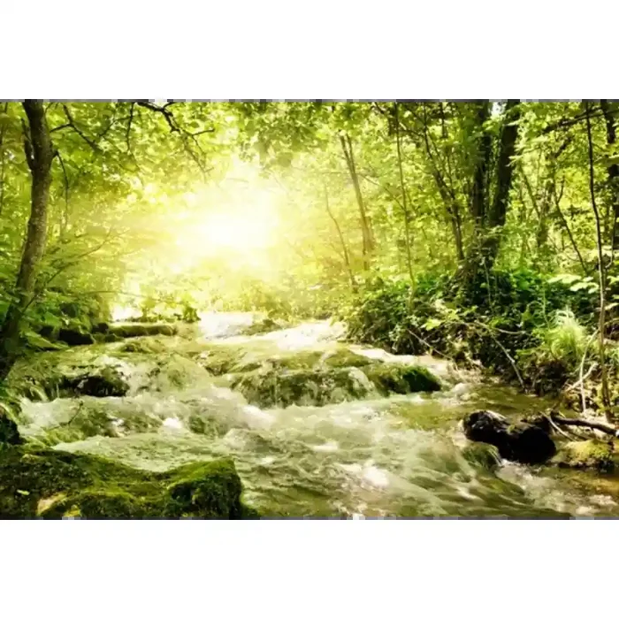 Fotomural Paisagem com Rio FNA011, 100cm. x 67cm., Vinilo Autoadhesivo Mate, Todo Color, Original, 0x0x0x0 cm.