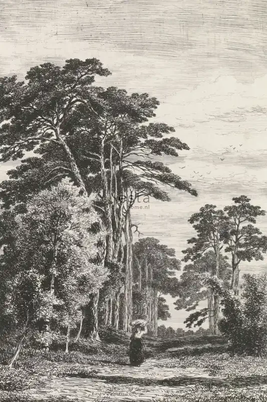 fotomural paisaje boscoso blanco y negro de ESTAhome – 158886