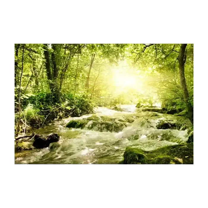 Fotomural Paisaje con Rio FNA011, 195cm. x 130.7cm., Vinilo Autoadhesivo Mate, Todo Color, Invertir, 0x0x0x0 cm.