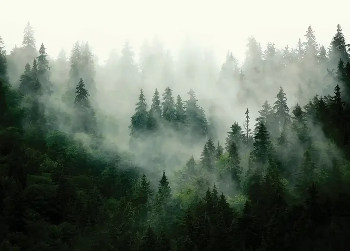fotomural paisaje montañoso con árboles verde de Sanders & Sanders – 601167