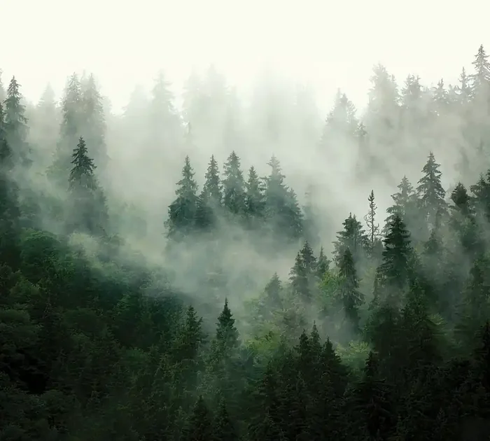 fotomural paisaje montañoso con árboles verde de Sanders & Sanders – 601175