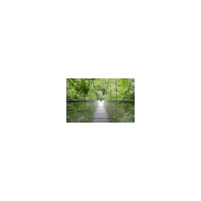 Fotomural paisaje puente FPR015, 150cm. x 80cm., Vinilo Autoadhesivo Mate, Todo Color, Original, 0x0x0x0 cm.