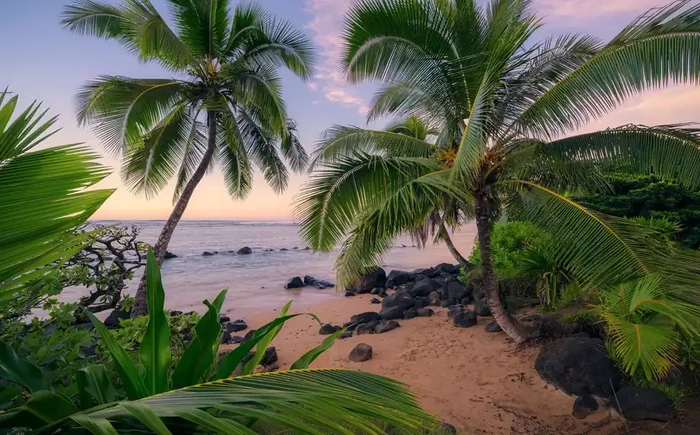 fotomural paisaje tropical verde y azul de Sanders & Sanders – 612697