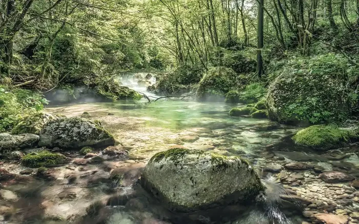 fotomural paisaje verde de Sanders & Sanders – 612566