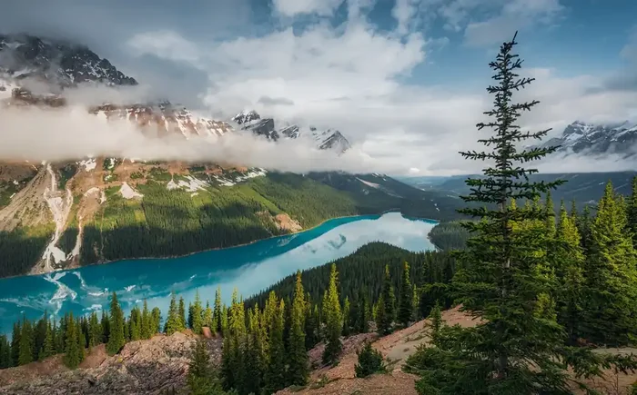 fotomural paisaje verde y azul de Sanders & Sanders – 612680