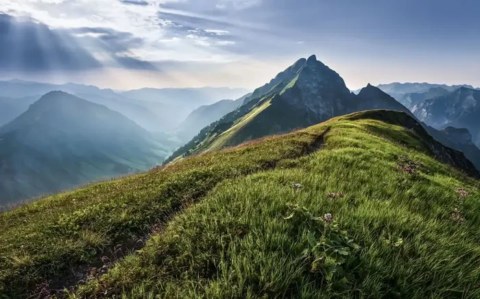 fotomural paisaje verde y gris de Sanders & Sanders – 612388