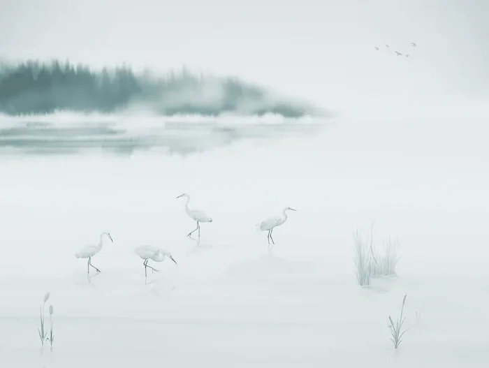 fotomural pájaros grulla azul y gris de Sanders & Sanders – 640838