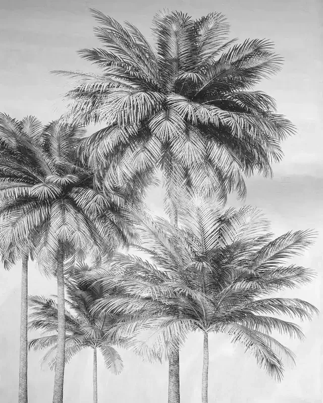 fotomural palmeras blanco y negro de Komar – 611621