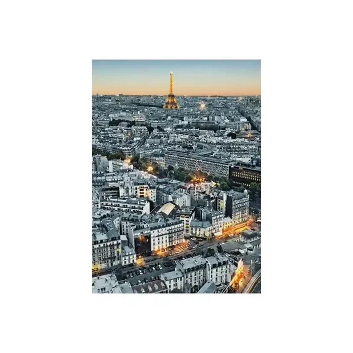 Fotomural PARIS AERIAL VEIW