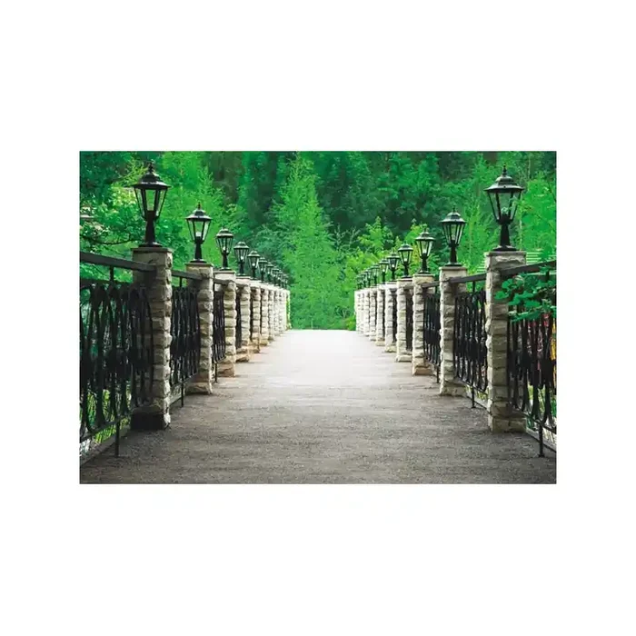 Fotomural PARK BRIDGE