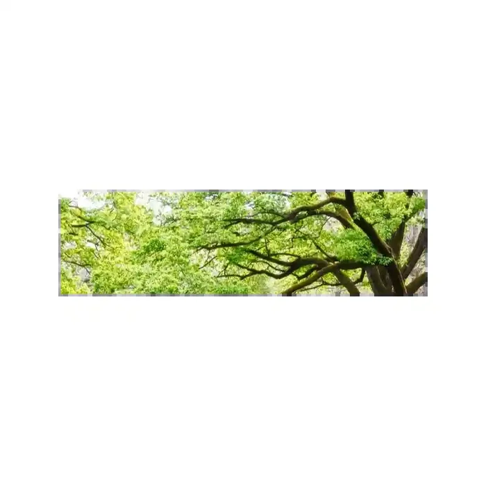 Fotomural Parque FNA006, 240cm. x 67cm., Vinilo Autoadhesivo Mate, Todo Color, Original, 0x39.41x0x53.59 cm.