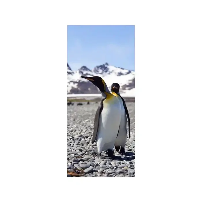 Fotomural Penguin FTV1521