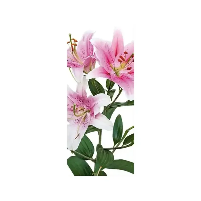Fotomural PINK LILY FT-0213