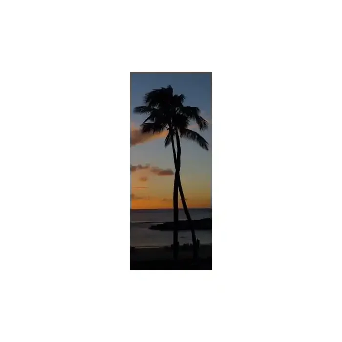 Fotomural Playa FPL001, 100cm. x 245cm., Vinilo Autoadhesivo Mate, Todo Color, Original, 66.23x0x3.15×0 cm.