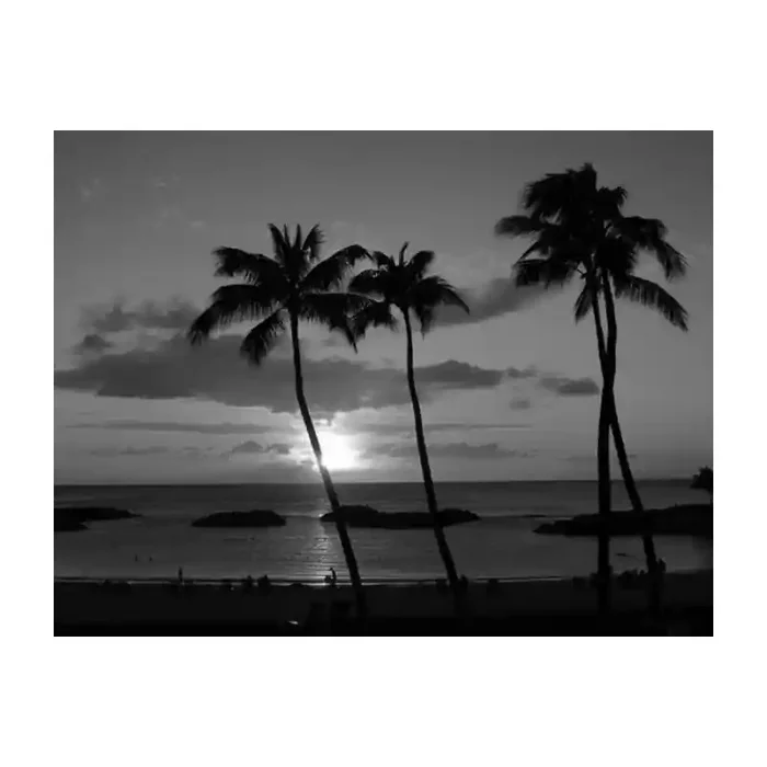 Fotomural Playa FPL001, 100cm. x 75cm., Vinilo Autoadhesivo Mate, Blanco y Negro, Original, 0x0x0x0 cm.