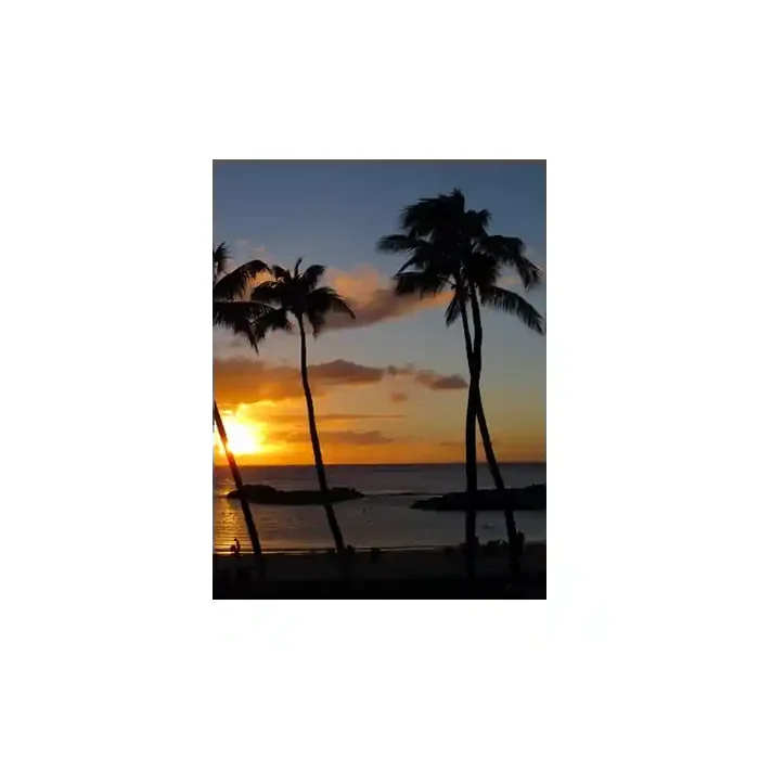 Fotomural Playa FPL001, 190cm. x 245cm., Vinilo Autoadhesivo Mate, Todo Color, Original, 72.88x0x6.61×0 cm.