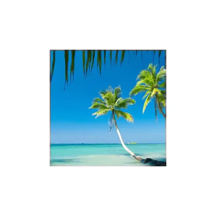 Fotomural Playa FPL008, 100cm. x 100cm., Vinilo Autoadhesivo Mate, Todo Color, Original, 14.01x0x15.66×0 cm.