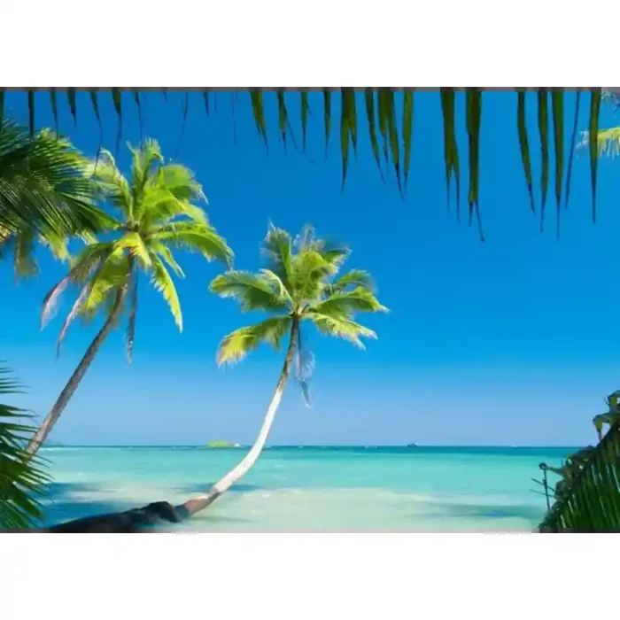 Fotomural Playa FPL008, 165cm. x 116cm., Vinilo Autoadhesivo Mate, Todo Color, Invertir, 0x0x0x0 cm.