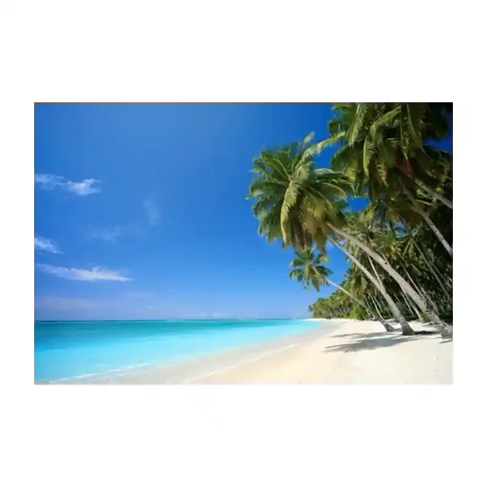 Fotomural Playa FPL013, 100cm. x 67cm., Vinilo Autoadhesivo Mate, Todo Color, Original, 0x0x0x0 cm.