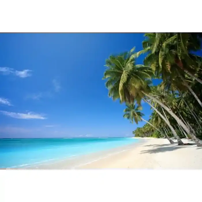Fotomural Playa FPL013, 120cm. x 80cm., Vinilo Autoadhesivo Mate, Todo Color, Original, 0x0x0x0 cm.