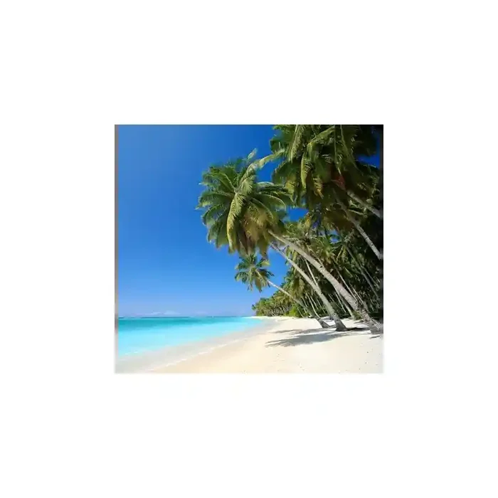 Fotomural Playa FPL013, 263cm. x 250cm., Vinilo Autoadhesivo Mate, Todo Color, Original, 78.55x0x0x0 cm.