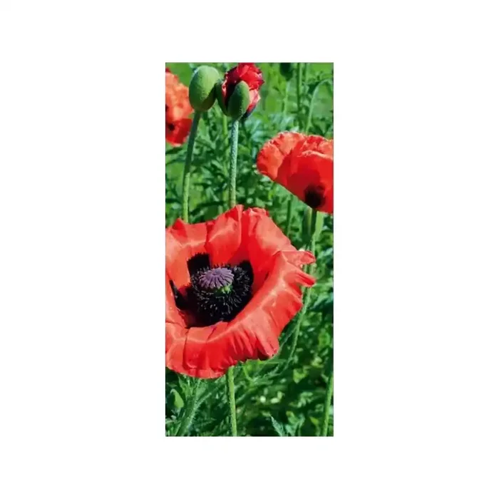 Fotomural POPPY FT-0009