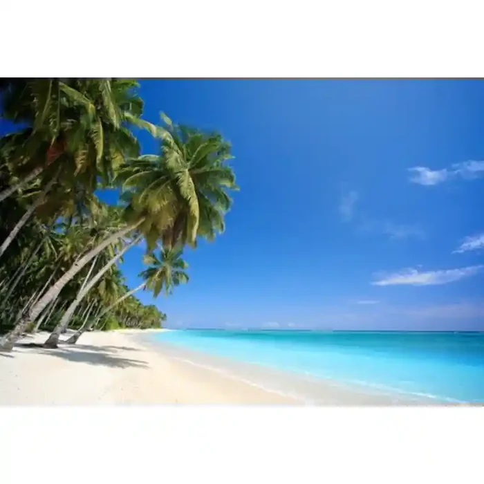 Fotomural Praia FPL013, 180cm. x 120cm., Vinilo Autoadhesivo Mate, Todo Color, Invertir, 0x0x0x0 cm.