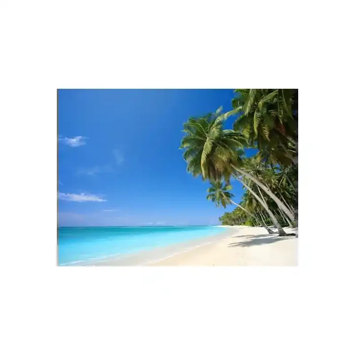 Fotomural Praia FPL013, 320cm. x 240cm., Vinilo Autoadhesivo Mate, Todo Color, Original, 17.78x0x17.78×0 cm.