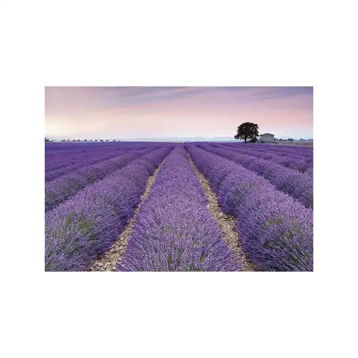 Fotomural PROVENCE XXL4-036