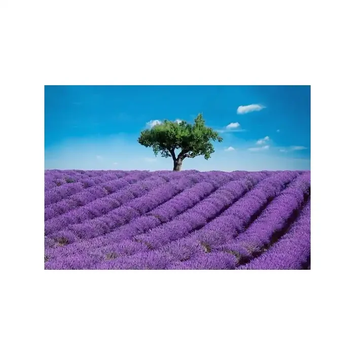 Fotomural PROVENCE