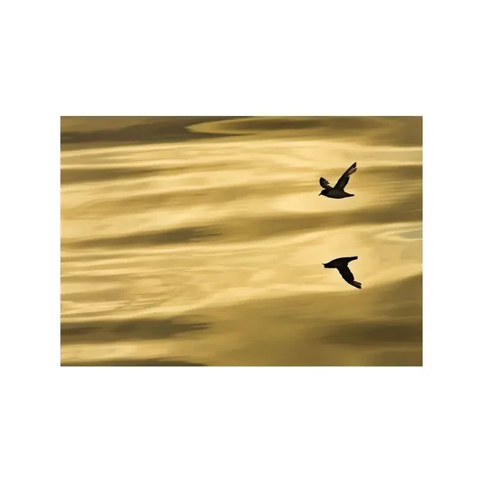 Fotomural REFLECTION
