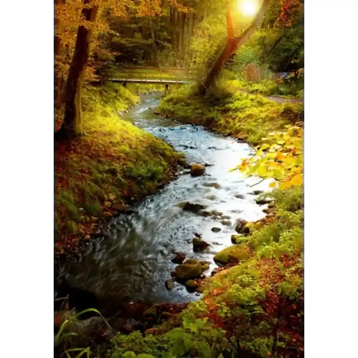 Fotomural Rio en el Bosque FNA001, 137cm. x 210cm., Vinilo Autoadhesivo Mate, Todo Color, Invertir, 0x0x0x0 cm.