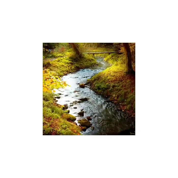 Fotomural Rio en el Bosque FNA001, 200cm. x 200cm., Vinilo Autoadhesivo Mate, Todo Color, Original, 0x44.93x0x44.93 cm.