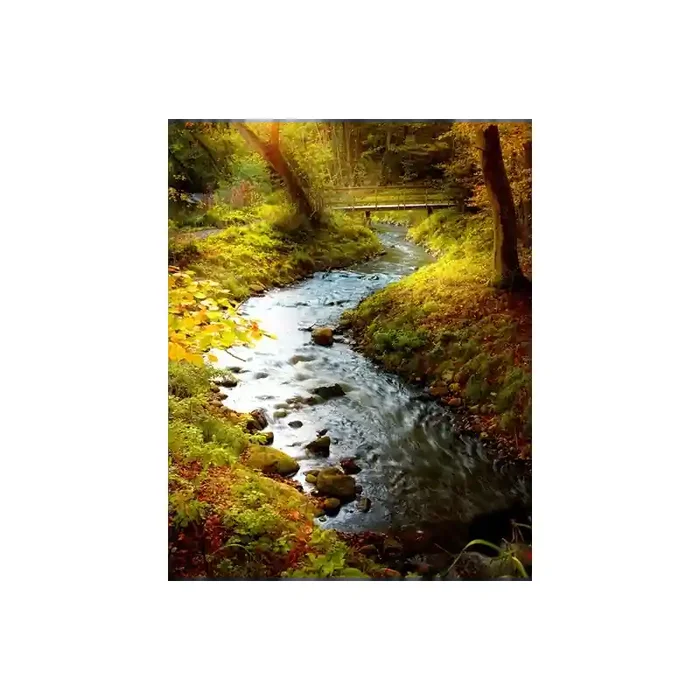 Fotomural Rio en el Bosque FNA001, 207cm. x 260cm., Vinilo Autoadhesivo Mate, Todo Color, Original, 0x20x0x20 cm.
