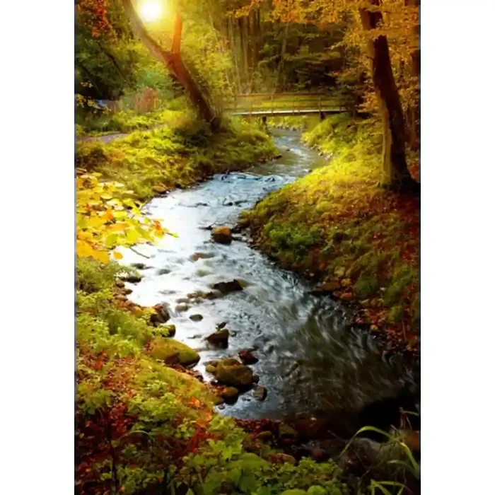 Fotomural Rio no Bosque FNA001, 100cm. x 145cm., Vinilo Autoadhesivo Mate, Todo Color, Original, 0x0x0x0 cm.