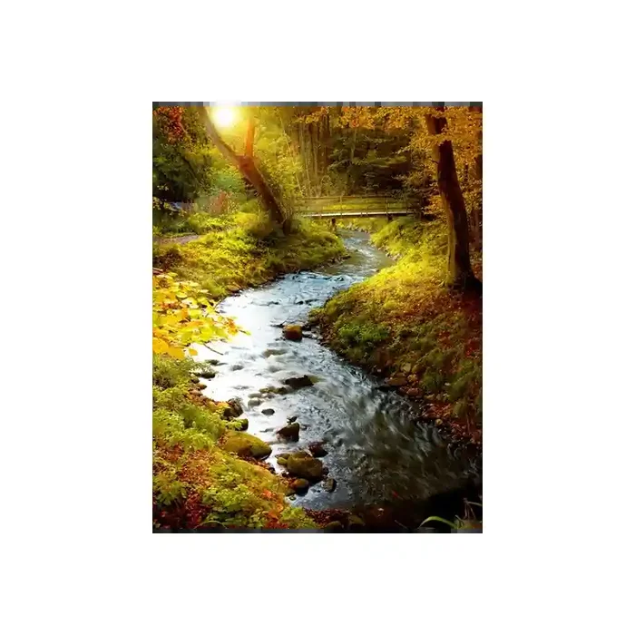 Fotomural Rio no Bosque FNA001, 140cm. x 180cm., Vinilo Autoadhesivo Mate, Todo Color, Original, 0x0x0x22.9 cm.