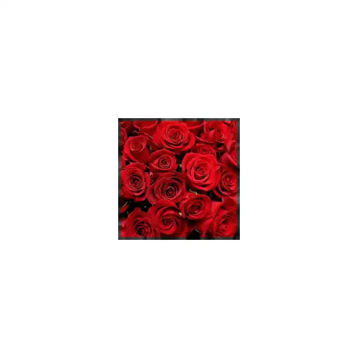 Fotomural Rosas FFL001, 195cm. x 195cm., Vinilo Autoadhesivo Mate, Todo Color, Original, 0x0x0x0 cm.
