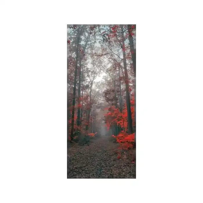 Fotomural Sendero Bosque FPR027, 100cm. x 230cm., Vinilo Autoadhesivo Mate, Todo Color, Original, 17.39x0x17.39×0 cm.