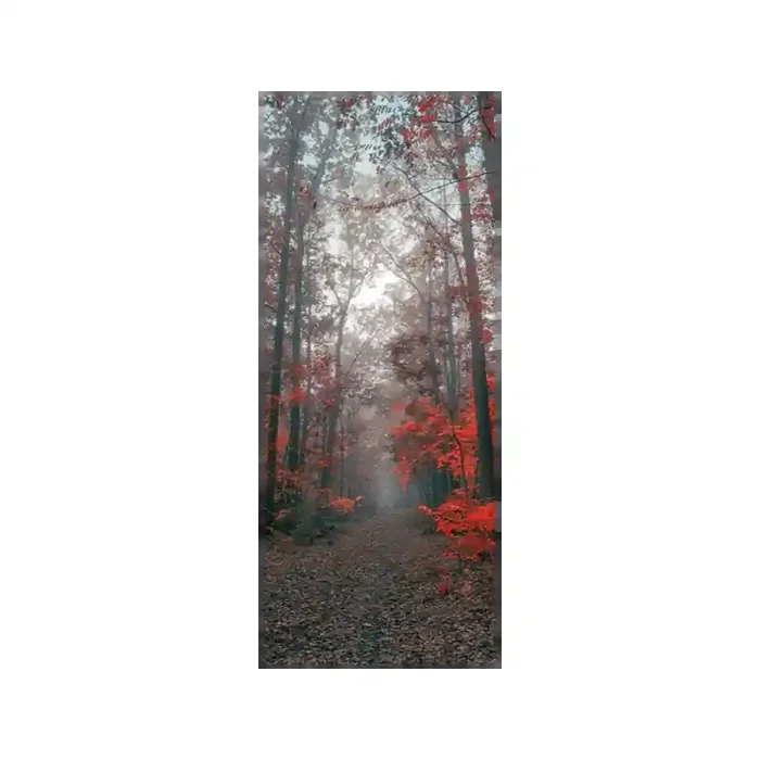 Fotomural Sendero Bosque FPR027, 110cm. x 270cm., Vinilo Autoadhesivo Mate, Todo Color, Original, 21.39x0x21.39×0 cm.