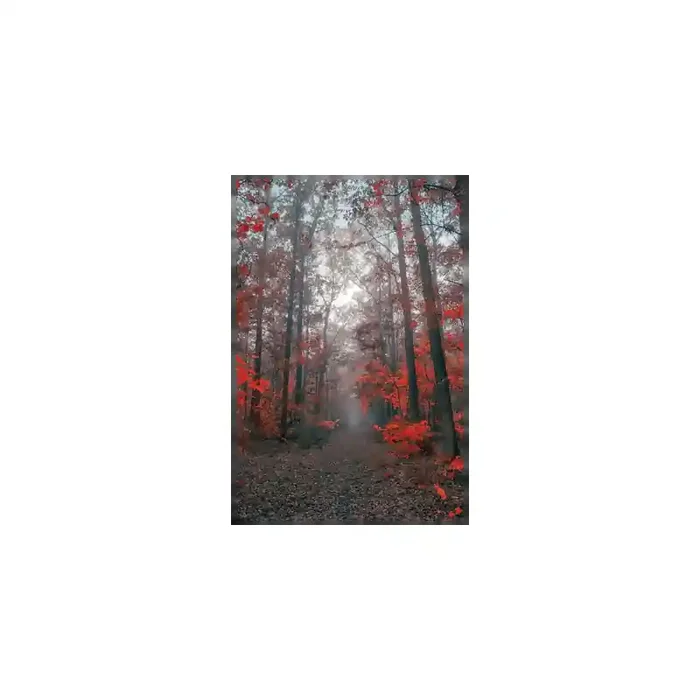 Fotomural Sendero Bosque FPR027, 172cm. x 266cm., Vinilo Autoadhesivo Mate, Todo Color, Original, 0x0x0x0 cm.